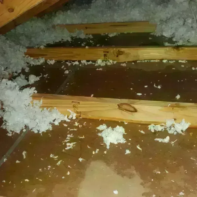 Attic Water Damage in Aberdeen, WA