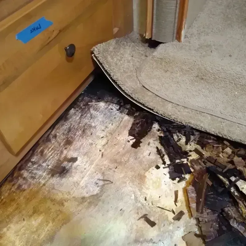 Wood Floor Water Damage in Aberdeen, WA